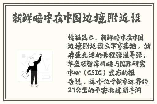 丁香五月综合区